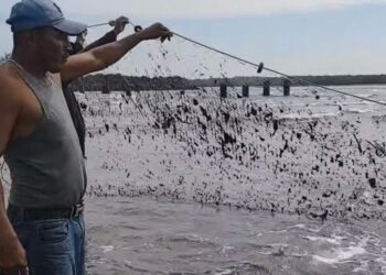 Sheinbaum ordena revisión científica por derrame en el Golfo