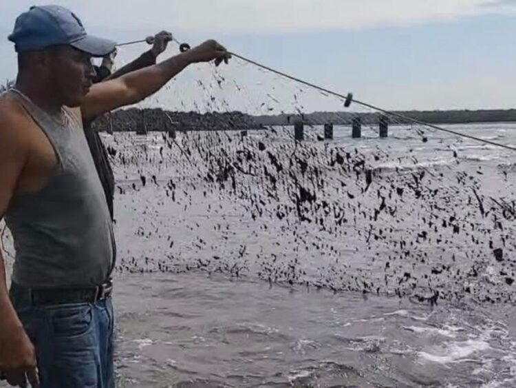 apoyo económico a pescadores del Golfo 