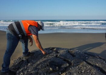 Daños ambientales por hidrocarburo en costas de Los Tuxtlas