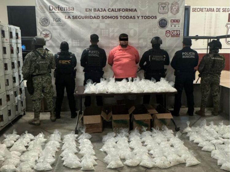Decomisan casi 113 kilos de metanfetamina en Tijuana