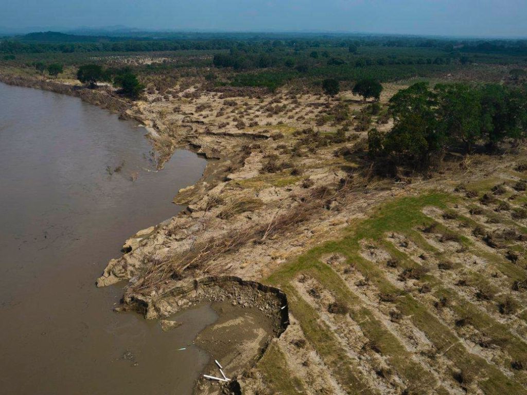 Derrame petrolero en el Golfo. Afectaciones