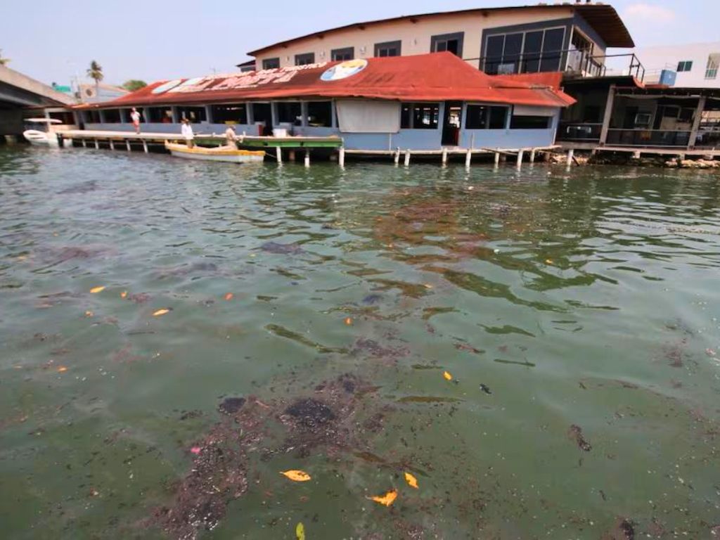 Derrame petrolero. Daños en Tabasco