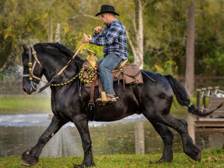 Vaqueros y ganaderos trabajan entre agua y pantanos en los Everglades, escenario de la serie documental Vaqueros del Pantano.