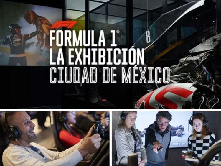 Formula 1®: La Exhibición