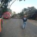 Fuertes vientos tiran árboles, techos y postes de luz en la capital de Oaxaca