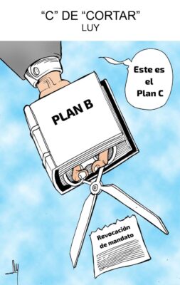 Con C de Cortar, LUY