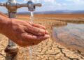 México se acerca a la bancarrota hídrica: agua por habitante cayó más de 70%