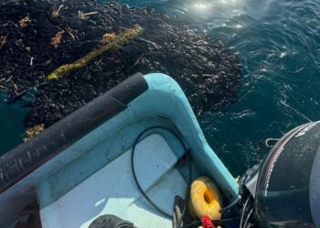 Llega contaminación de chapopote a Alvarado