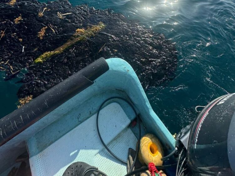 Llega contaminación de chapopote a Alvarado