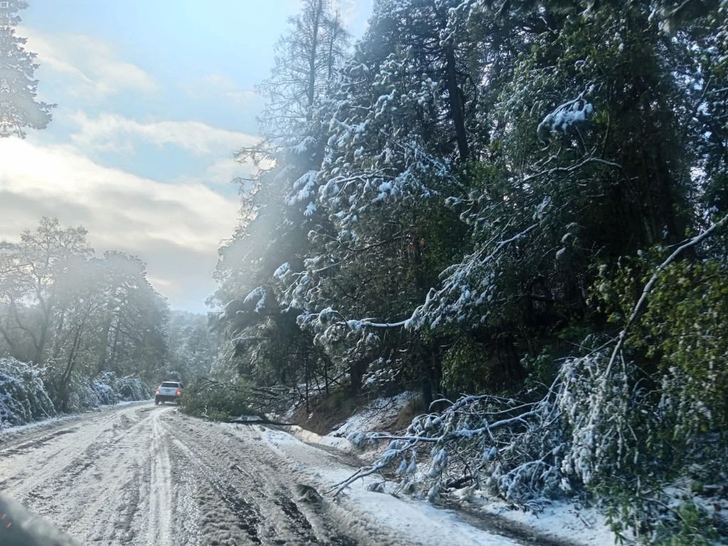 Nieve sorprende a cumbres del Estado de México al cierre de marzo; restringen acceso al Xinantécatl