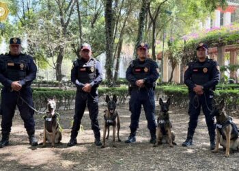 perros. Nuevos binomios caninos reforzarán seguridad del Mundial