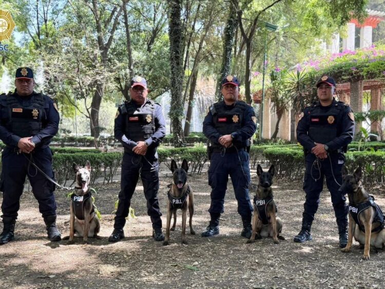 perros. Nuevos binomios caninos reforzarán seguridad del Mundial