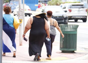 Obesidad, grave problema de salud publica. Imagen AMEXI Foto Canva