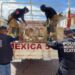 Operativo policiaco para el rescate de animales hacinados en una vivienda de Ecatepec.