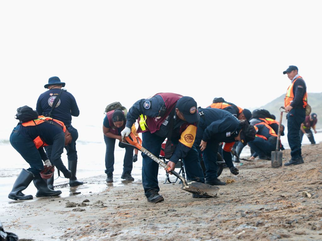 Playas de Veracruz aptas para turismo