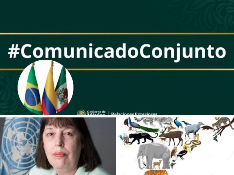 Radar Informativo Internacional (13 de marzo de 2026)