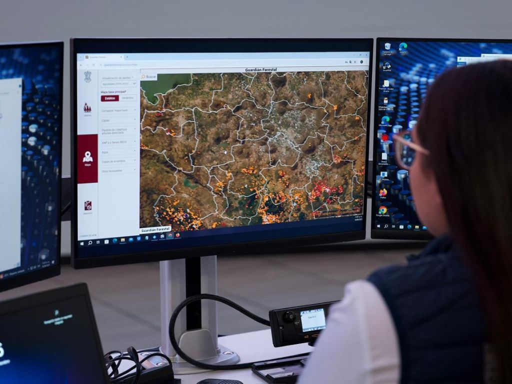 Reserva de la Biósfera Mariposa Monarca 