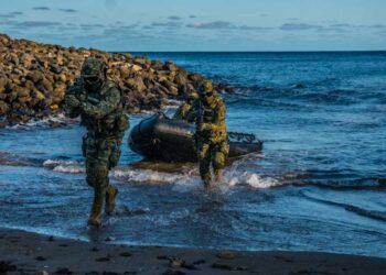 Senado aprueba salida de 60 elementos de la Marina a EU para capacitarse
