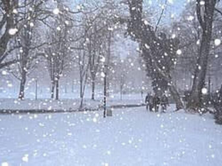Paisaje con nieve en zona montañosa de México durante primavera, reflejando bajas temperaturas y clima inusual.