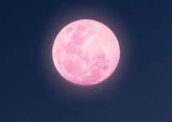 Luna llena visible en el cielo nocturno con tonos dorados y anaranjados cerca del horizonte durante el fenómeno conocido como Luna Rosa.