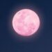 Luna llena visible en el cielo nocturno con tonos dorados y anaranjados cerca del horizonte durante el fenómeno conocido como Luna Rosa.