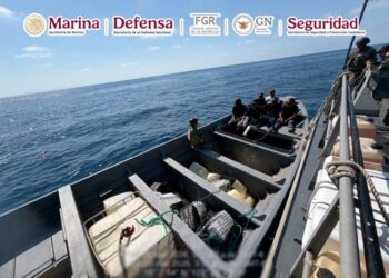 Aseguran 650 kilos de cocaína en operativo en Michoacán