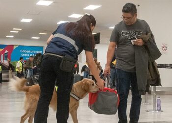 Operativo de Semana Santa con 70 binomios caninos