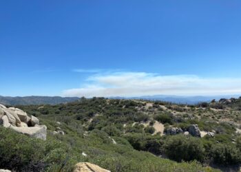 Autoridades de BC informan que se logró liquidar en su totalidad el incendio forestal denominado “Mesa el Barreal”.