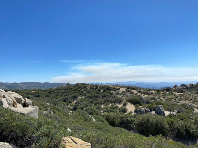 Autoridades de BC informan que se logró liquidar en su totalidad el incendio forestal denominado “Mesa el Barreal”.