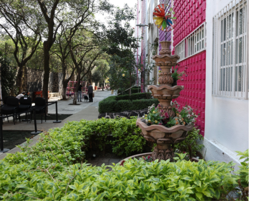 la Unidad Habitacional IMSS Narvarte recibió 3 millones y medio de pesos para su rehabilitación.