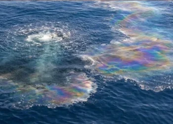 Petróleo en playas del golfo no afectó EEUU