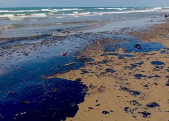 Alcaldes denuncian ecocidio por derrame en Veracruz