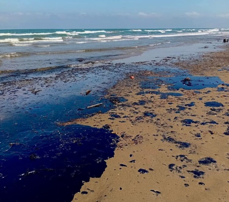 Alcaldes denuncian ecocidio por derrame en Veracruz