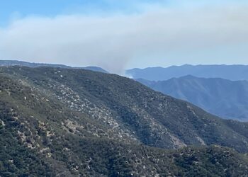 El incendio forestal denominado “Mesa El Barreal”, entre los municipios de San Quintín y Ensenada, registra un 90% de control.