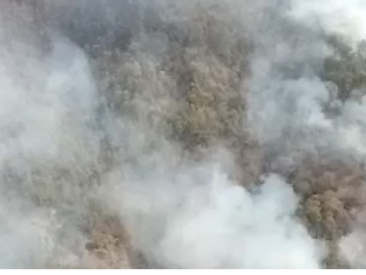 En Oaxaca la PROPAEO clausuró un basurero clandestino, que al ser incendiado provocó incendio forestal en el municipio de Santa María Ipala.