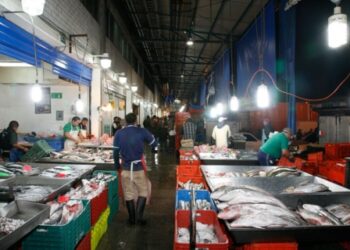 La Nueva Viga de CDMX, epicentro del marisco, activa operativo