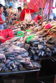 Despliegue de 150 oficiales y alternativas viales