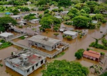 En Oaxaca 5 mil familias indígenas son desplazadas por cambio climático y fallas geológicas, informa la titular de la CADH.