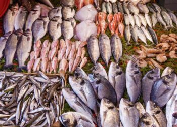 Pescaderías pierden hasta 40% en ventas durante Semana Santa