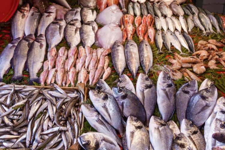 Pescaderías pierden hasta 40% en ventas durante Semana Santa