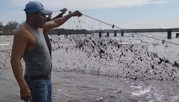 Aproximadamente 14 mil personas resultaron afectadas