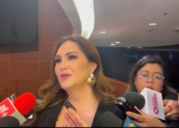 El Partido del Trabajo (PT) en el Senado de la República está dispuesto a asumir el costo político por votar contra la reforma electoral