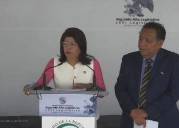 La senadora Mariela Gutiérrez admitió aplicar eutanasia a perros de la calle en Tecámac bajo la norma sanitaria durante su gestión