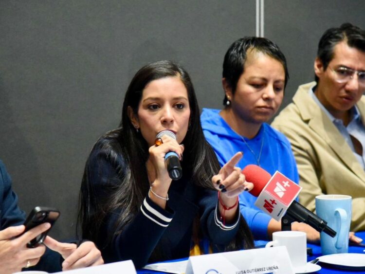 Acusan a aspirantes al INE por mayoría artificial