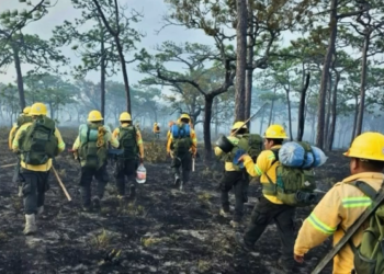 Relámpagos causan cuatro siniestros en regiones clave del estado