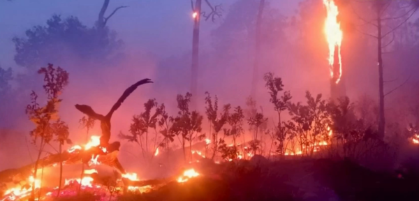 Oaxaca supera 104 incendios en el primer trimestre