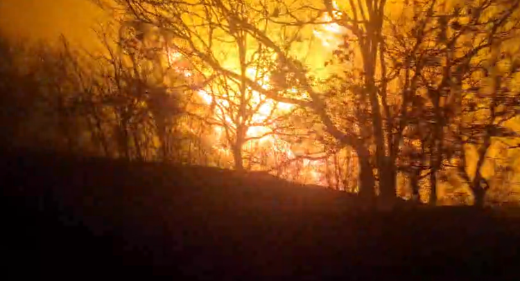 Oaxaca mantiene 8 incendios forestales activos