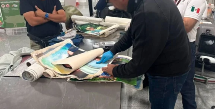 Detienen a extranjero que llevaba lienzos con narcótico en el AICM