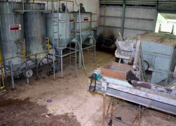 La planta de aceite de palma clausurada en Chiapas por riesgos ambientales.