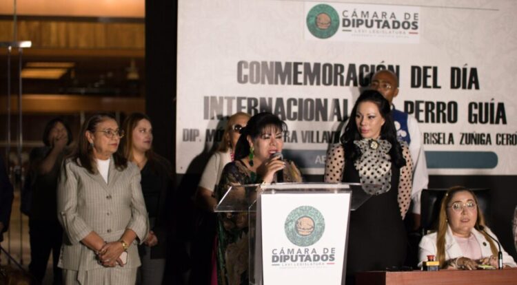 Cámara de Diputados honra a los Perros Guía
